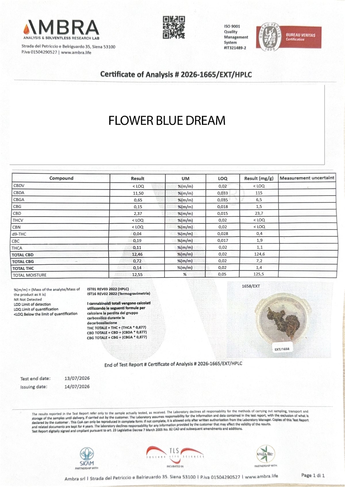 Fiore CBC Blue Dream
