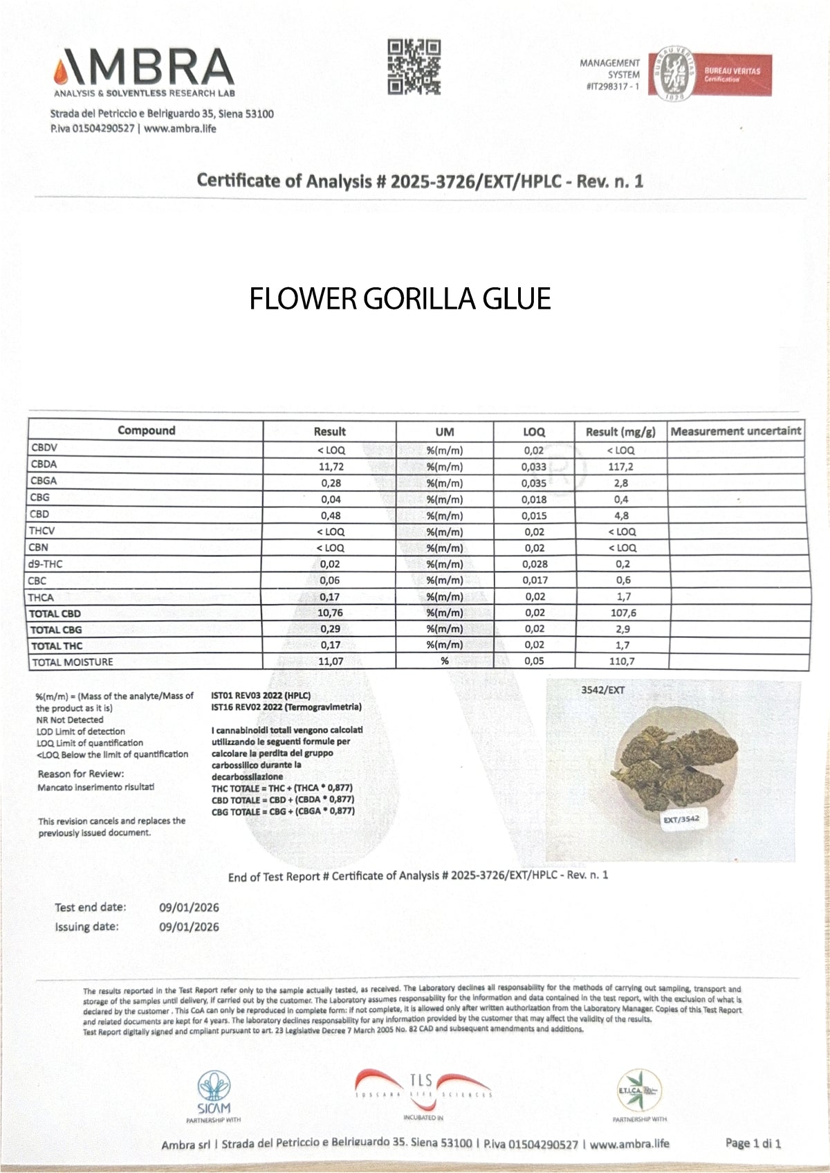 Fiore CBC Gorilla Glue