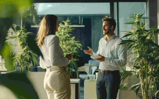 cbd chat effets secondaires réactions comportementales