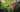 Traitement CBD arthrose soulagement naturel douleur