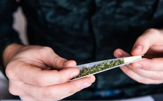 Fumer vs Manger Cannabis