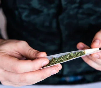 Fumer vs Manger Cannabis