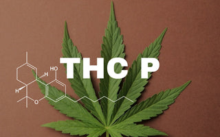 THCP : Les effets, bienfaits et dangers à savoir