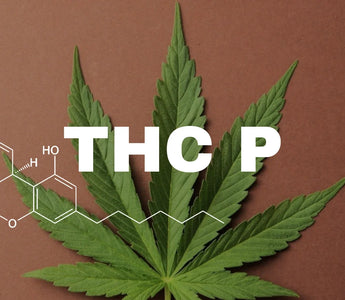 THCP : Les effets, bienfaits et dangers à savoir