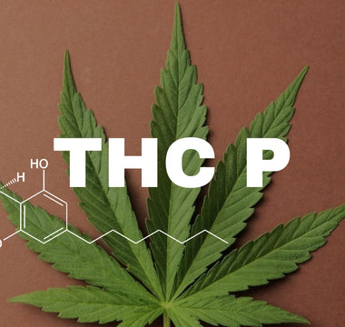 THCP : Les effets, bienfaits et dangers à savoir