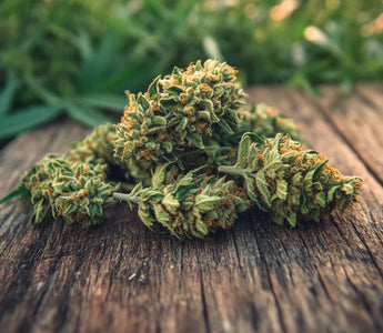 Fleurs THCA